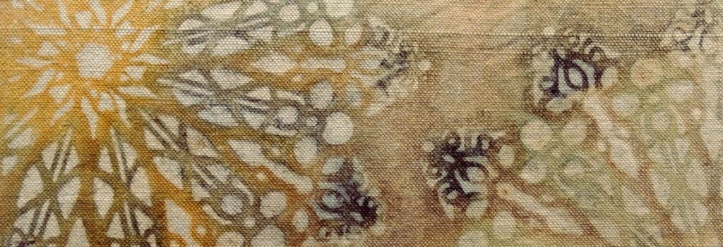 Katazome con pinturas de cebolla, granada, mate, liquen y chestnut bark.