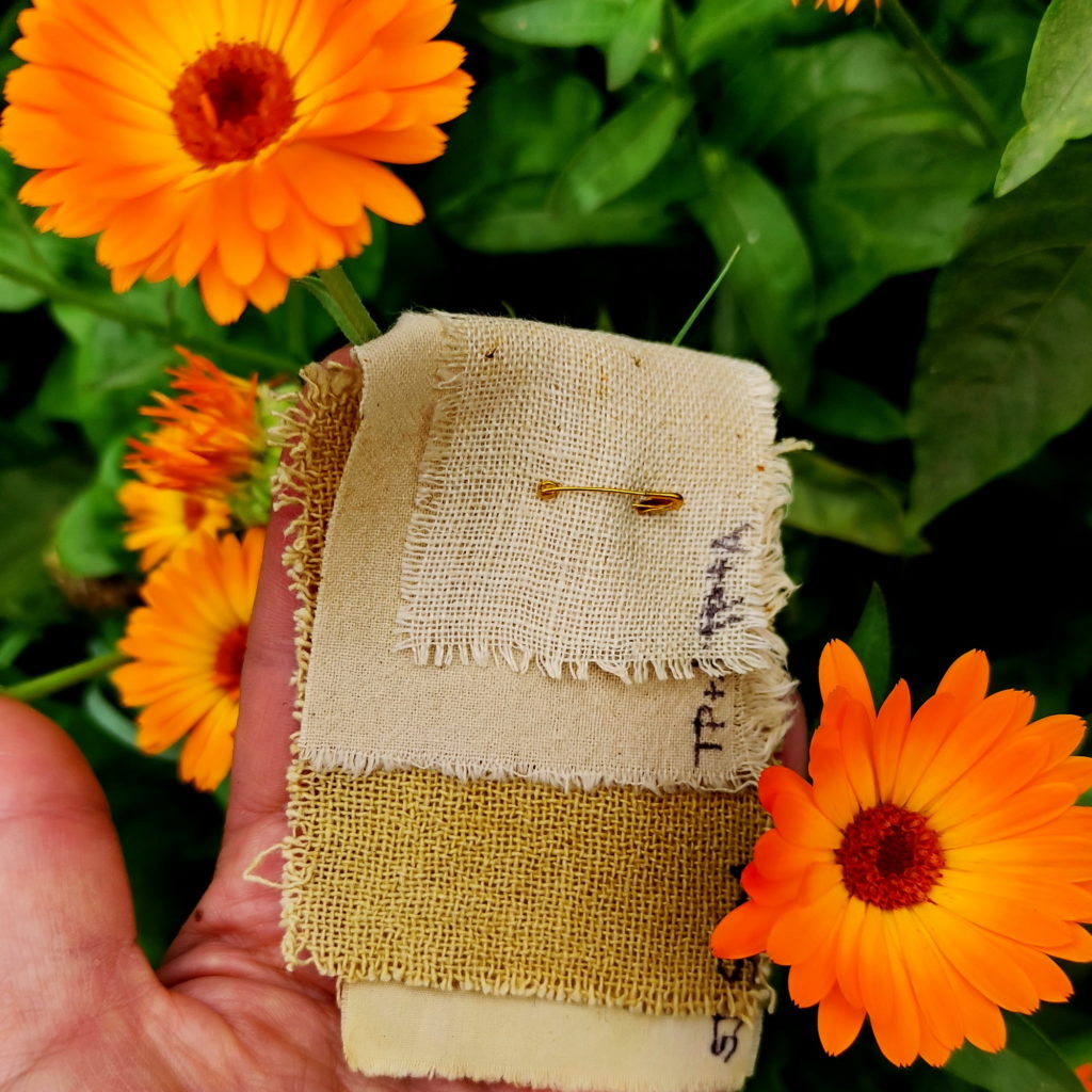 Resultado de teñido solar de lino y algodón con flores de caléndula