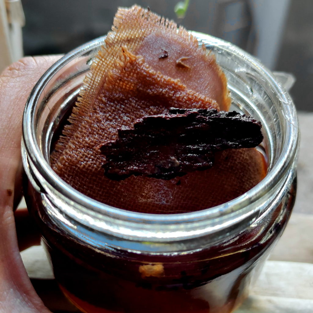 Teñido solar de algodón y lino con corteza de maitén