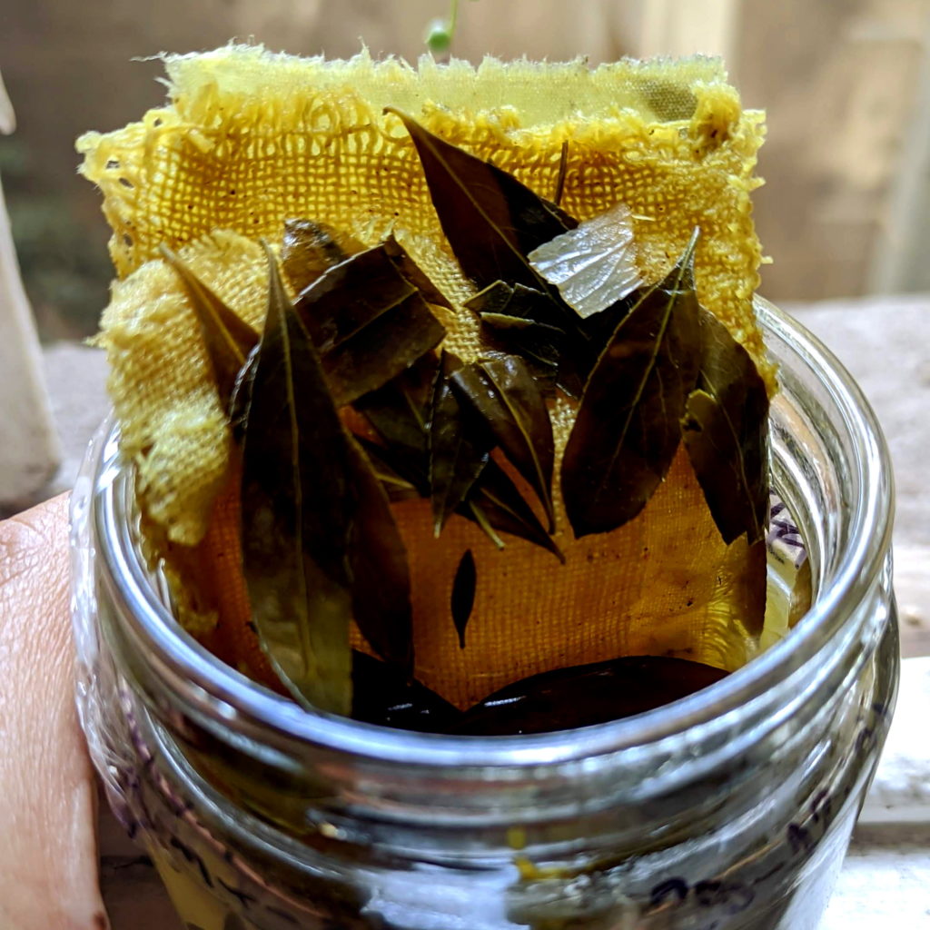 Teñido solar de algodón y lino con hojas de maitén