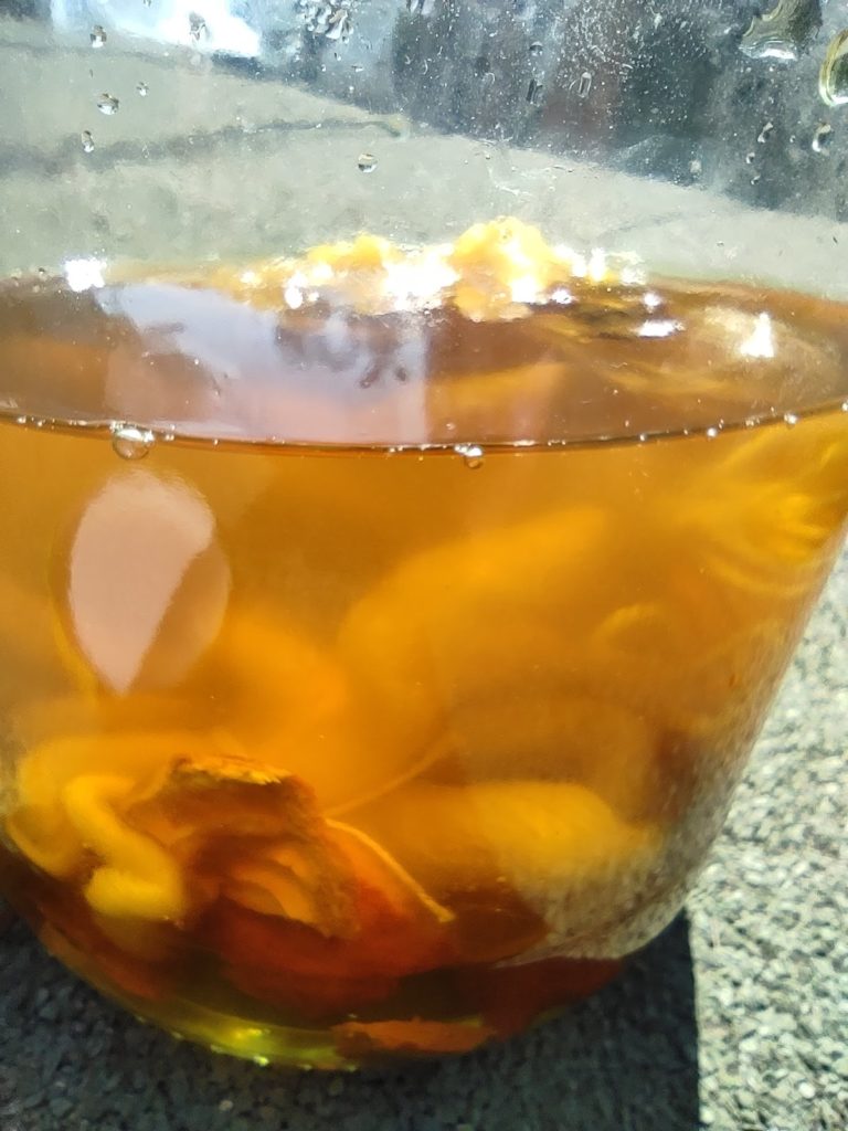 Agua va tomando color en teñido solar