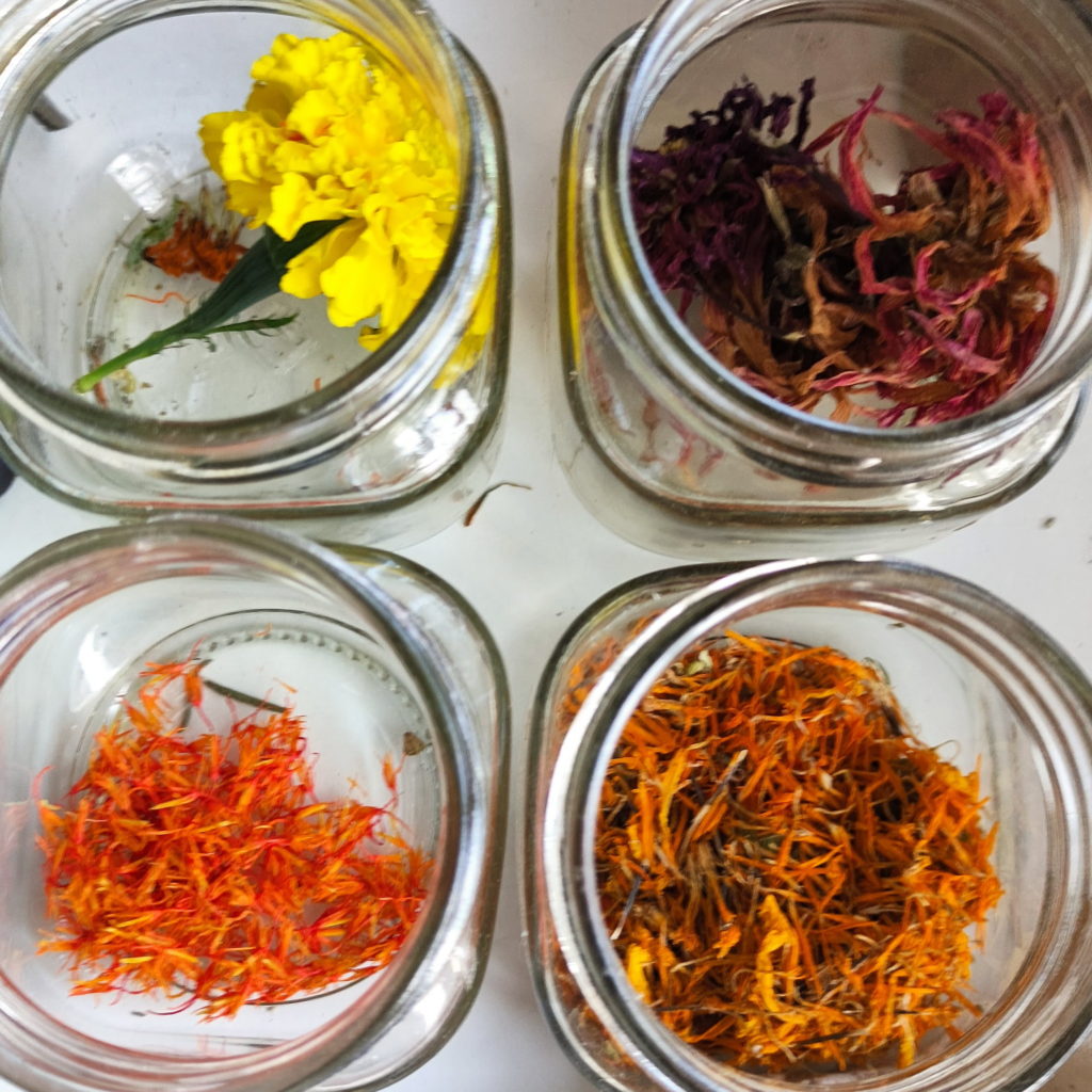 materiales tintóreos en frascos