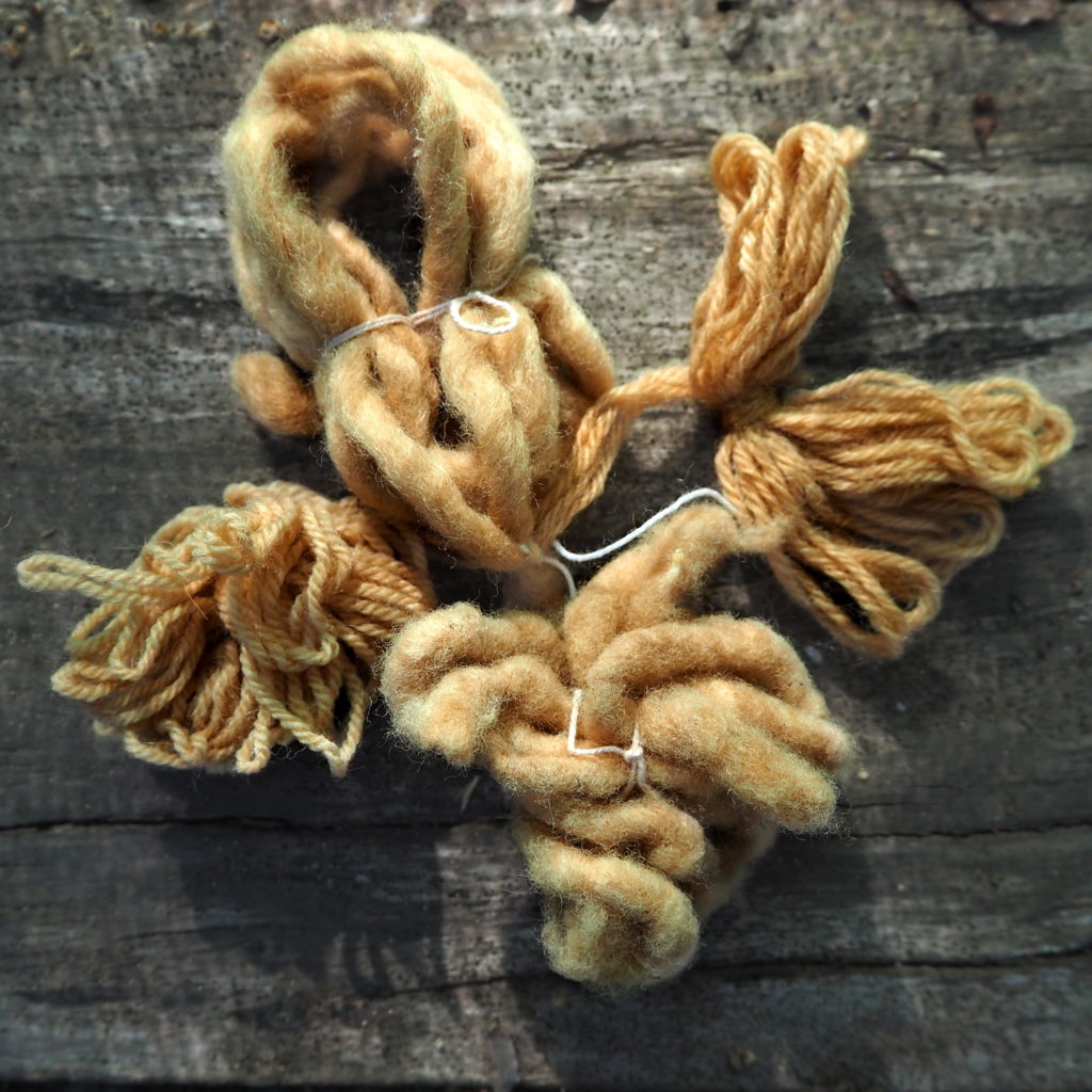 teñido solar con diente león sobre fibra animal